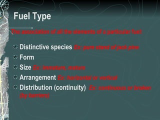 Fuel Type Distinctive species  Ex: pure stand of jack pine Form Size  Ex:   immature, mature Arrangement  Ex: horizontal or vertical Distribution (continuity)  Ex: continuous or broken (by barriers) The association of all the elements of a particular fuel: 