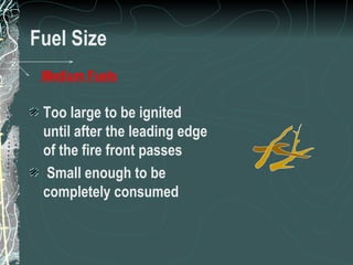 Fuel Size Too large to be ignited until after the leading edge of the fire front passes Small enough to be completely consumed Medium Fuels   