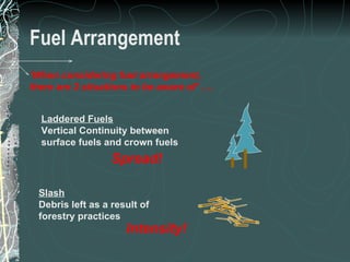 Fuel Arrangement ‘ When considering fuel arrangement,  there are 2 situations to be aware of’ …. Slash Debris left as a result of  forestry practices  Intensity! Laddered Fuels Vertical Continuity between surface fuels and crown fuels  Spread! 