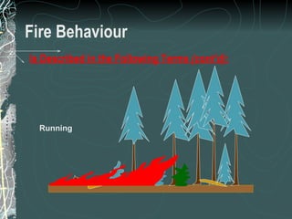 Fire Behaviour Running Is Described in the Following Terms  (cont’d) : 