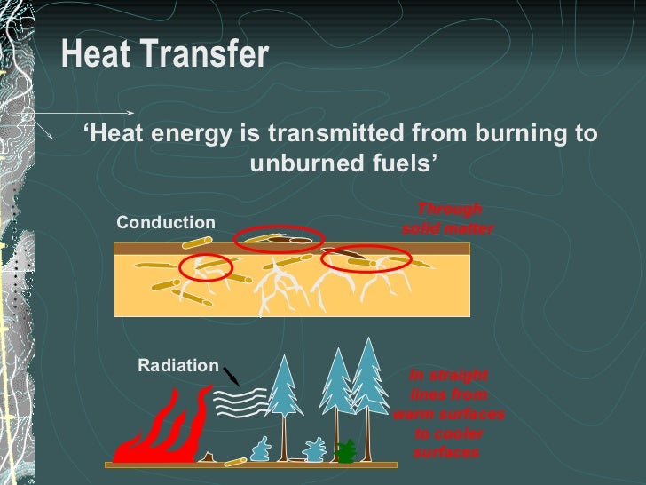 Module 3 Fire Behavior