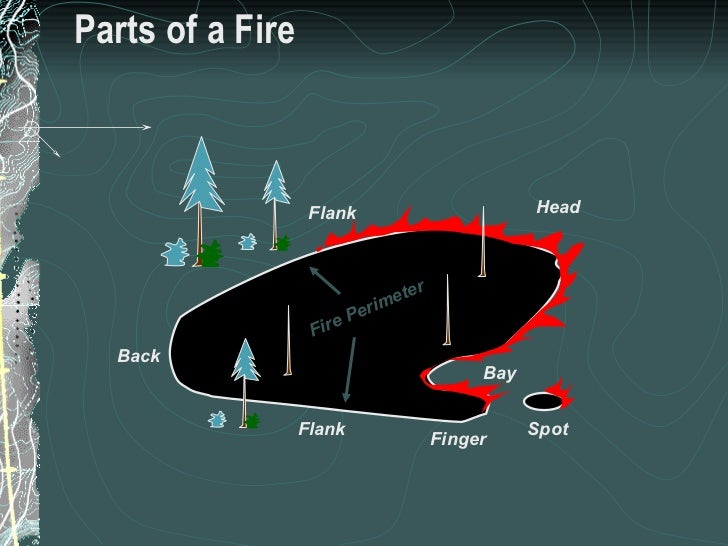 burn how grass 3 Behavior Module Fire burn how grass 3 Behavior Module Fire