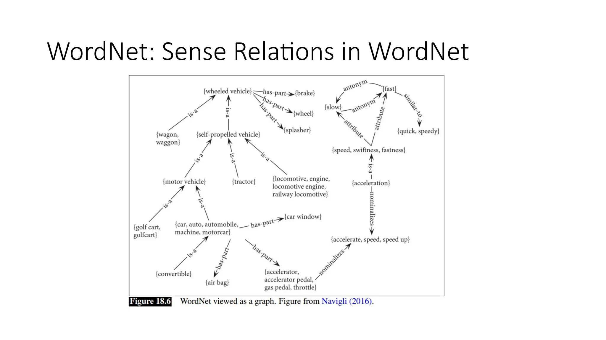 WordNet: Sense Relations in WordNet
 