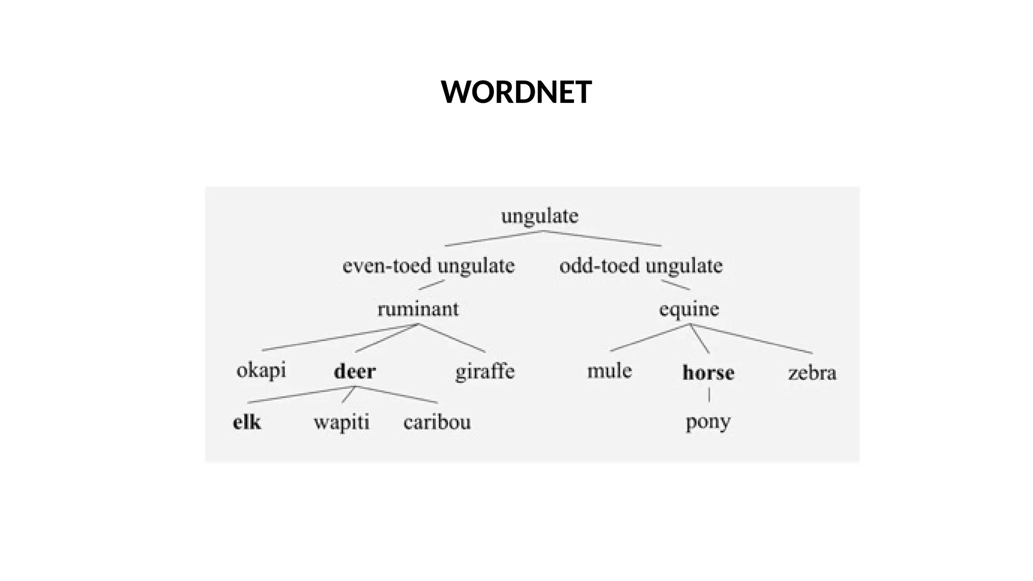 WORDNET
 
