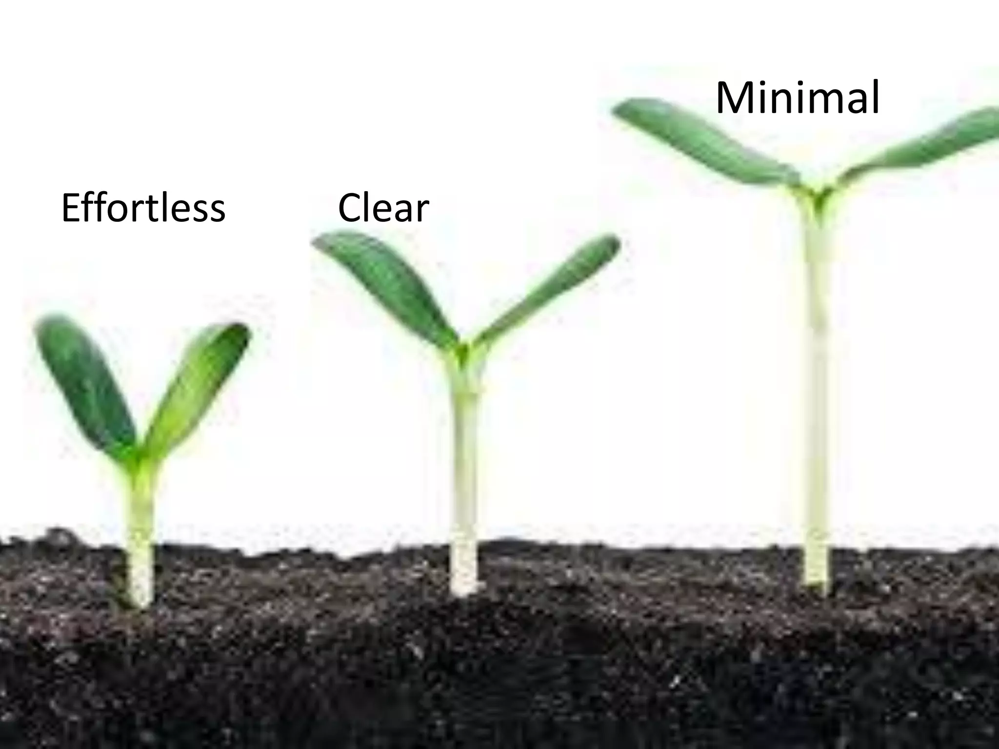 Minimal
Effortless Clear
 