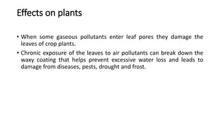 Effects on plants
• When some gaseous pollutants enter leaf pores they damage the
leaves of crop plants.
• Chronic exposure of the leaves to air pollutants can break down the
waxy coating that helps prevent excessive water loss and leads to
damage from diseases, pests, drought and frost.
 