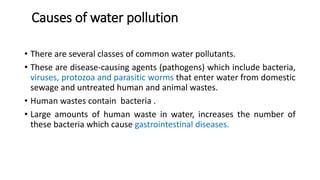 Causes of water pollution
• There are several classes of common water pollutants.
• These are disease-causing agents (pathogens) which include bacteria,
viruses, protozoa and parasitic worms that enter water from domestic
sewage and untreated human and animal wastes.
• Human wastes contain bacteria .
• Large amounts of human waste in water, increases the number of
these bacteria which cause gastrointestinal diseases.
 