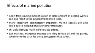 Effects of marine pollution
• Apart from causing eutrophication of large amount of organic wastes
can also result in the development of red tides.
• Many important commercially important marine species are also
killed due to clogging of gills or other structures.
• Oil slicks damage marine life to large extent.
• Salt marshes, mangrove swamps are likely to trap oil and the plants,
which form the basis for these ecosystems thus suffer.
 