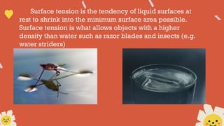 Surface tension is the tendency of liquid surfaces at
rest to shrink into the minimum surface area possible.
Surface tension is what allows objects with a higher
density than water such as razor blades and insects (e.g.
water striders)
 