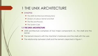 module 4 ojvhkljgsdiaHBK0wurihe'[HDF[apijhfo | PPT