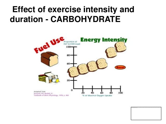 The Role Of Carbohydrate, Fat And Protein As Fuels For ...
