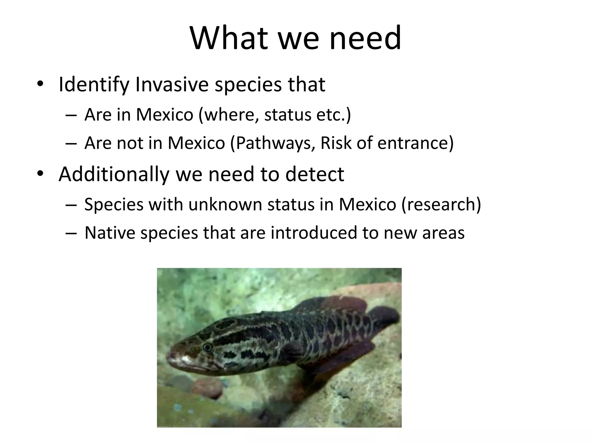 What we need
• Identify Invasive species that
– Are in Mexico (where, status etc.)
– Are not in Mexico (Pathways, Risk of entrance)
• Additionally we need to detect
– Species with unknown status in Mexico (research)
– Native species that are introduced to new areas
 
