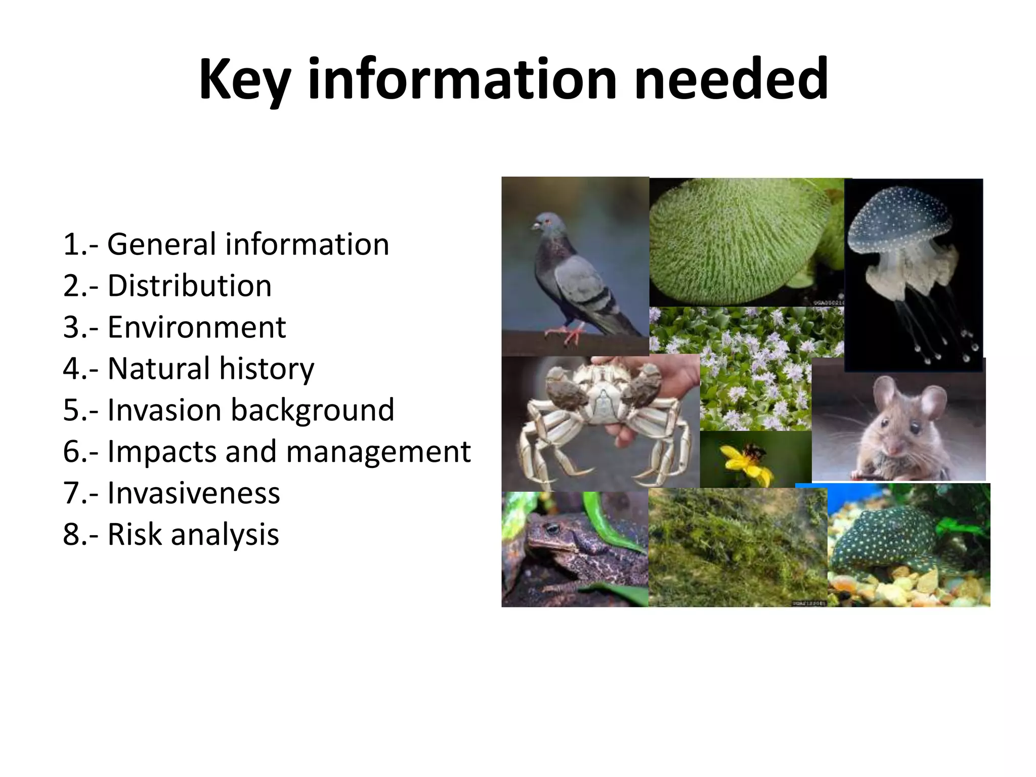Key information needed
1.- General information
2.- Distribution
3.- Environment
4.- Natural history
5.- Invasion background
6.- Impacts and management
7.- Invasiveness
8.- Risk analysis
 