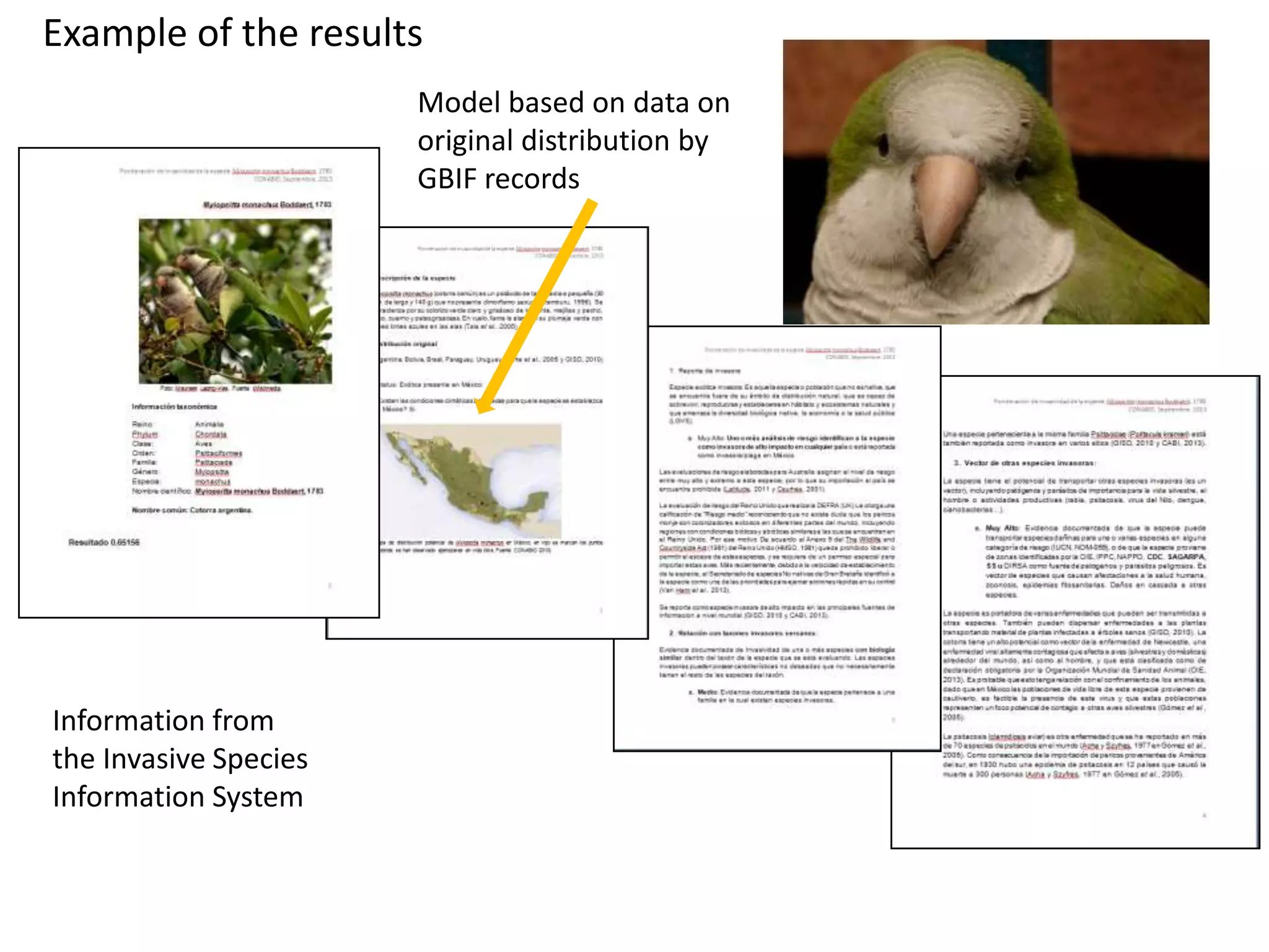 Example of the results
Information from
the Invasive Species
Information System
Model based on data on
original distribution by
GBIF records
 