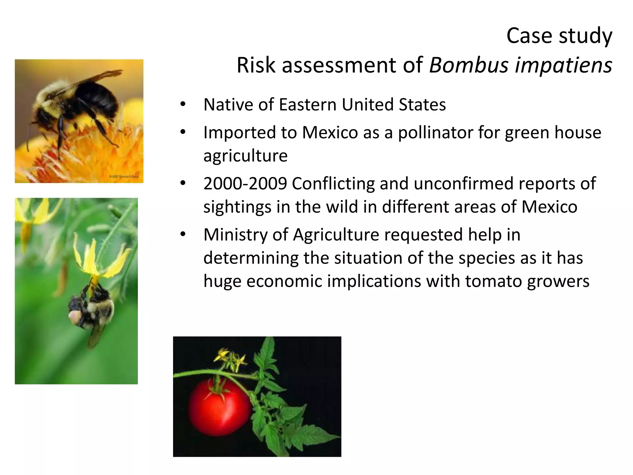 Case study
Risk assessment of Bombus impatiens
• Native of Eastern United States
• Imported to Mexico as a pollinator for green house
agriculture
• 2000-2009 Conflicting and unconfirmed reports of
sightings in the wild in different areas of Mexico
• Ministry of Agriculture requested help in
determining the situation of the species as it has
huge economic implications with tomato growers
 