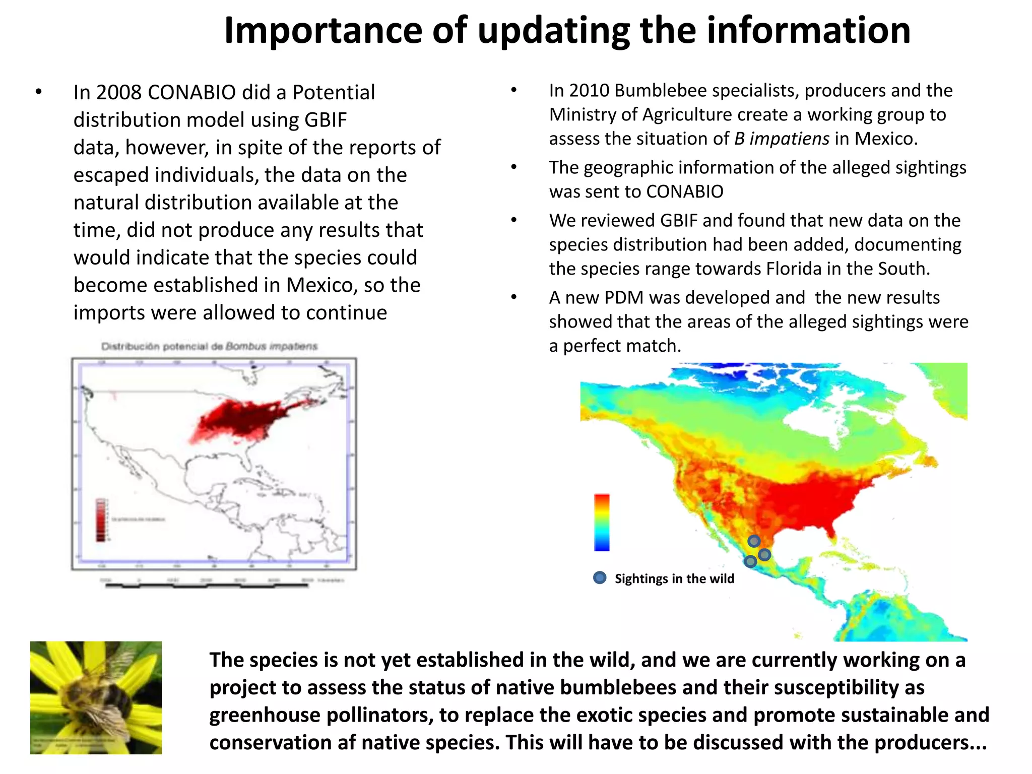 Importance of updating the information
• In 2008 CONABIO did a Potential
distribution model using GBIF
data, however, in spite of the reports of
escaped individuals, the data on the
natural distribution available at the
time, did not produce any results that
would indicate that the species could
become established in Mexico, so the
imports were allowed to continue
• In 2010 Bumblebee specialists, producers and the
Ministry of Agriculture create a working group to
assess the situation of B impatiens in Mexico.
• The geographic information of the alleged sightings
was sent to CONABIO
• We reviewed GBIF and found that new data on the
species distribution had been added, documenting
the species range towards Florida in the South.
• A new PDM was developed and the new results
showed that the areas of the alleged sightings were
a perfect match.
The species is not yet established in the wild, and we are currently working on a
project to assess the status of native bumblebees and their susceptibility as
greenhouse pollinators, to replace the exotic species and promote sustainable and
conservation af native species. This will have to be discussed with the producers...
Sightings in the wild
 