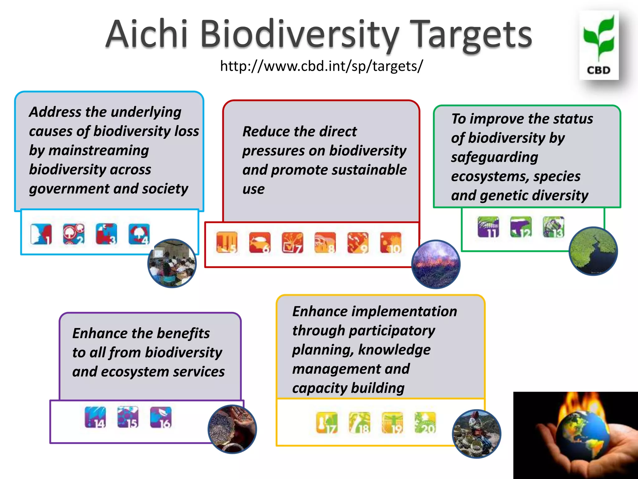 Aichi Biodiversity Targets
http://www.cbd.int/sp/targets/
Enhance implementation
through participatory
planning, knowledge
management and
capacity building
Enhance the benefits
to all from biodiversity
and ecosystem services
Address the underlying
causes of biodiversity loss
by mainstreaming
biodiversity across
government and society
Reduce the direct
pressures on biodiversity
and promote sustainable
use
To improve the status
of biodiversity by
safeguarding
ecosystems, species
and genetic diversity
 