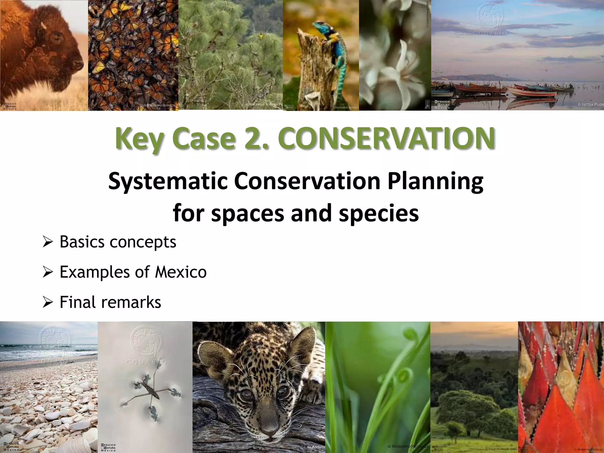 Systematic Conservation Planning
for spaces and species
Key Case 2. CONSERVATION
 Basics concepts
 Examples of Mexico
 Final remarks
 