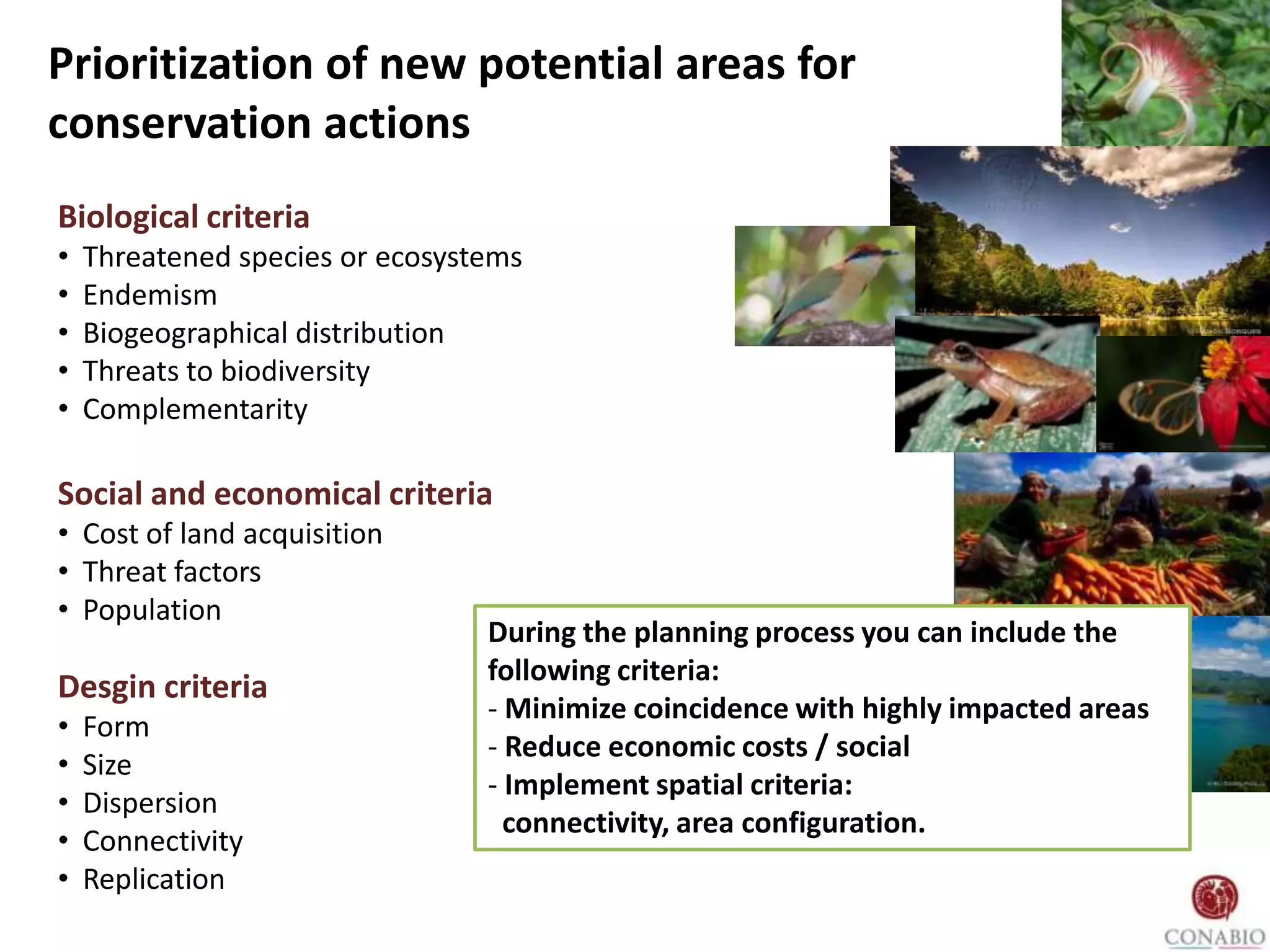 Biological criteria
• Threatened species or ecosystems
• Endemism
• Biogeographical distribution
• Threats to biodiversity
• Complementarity
Desgin criteria
• Form
• Size
• Dispersion
• Connectivity
• Replication
Social and economical criteria
• Cost of land acquisition
• Threat factors
• Population
Prioritization of new potential areas for
conservation actions
During the planning process you can include the
following criteria:
- Minimize coincidence with highly impacted areas
- Reduce economic costs / social
- Implement spatial criteria:
connectivity, area configuration.
 