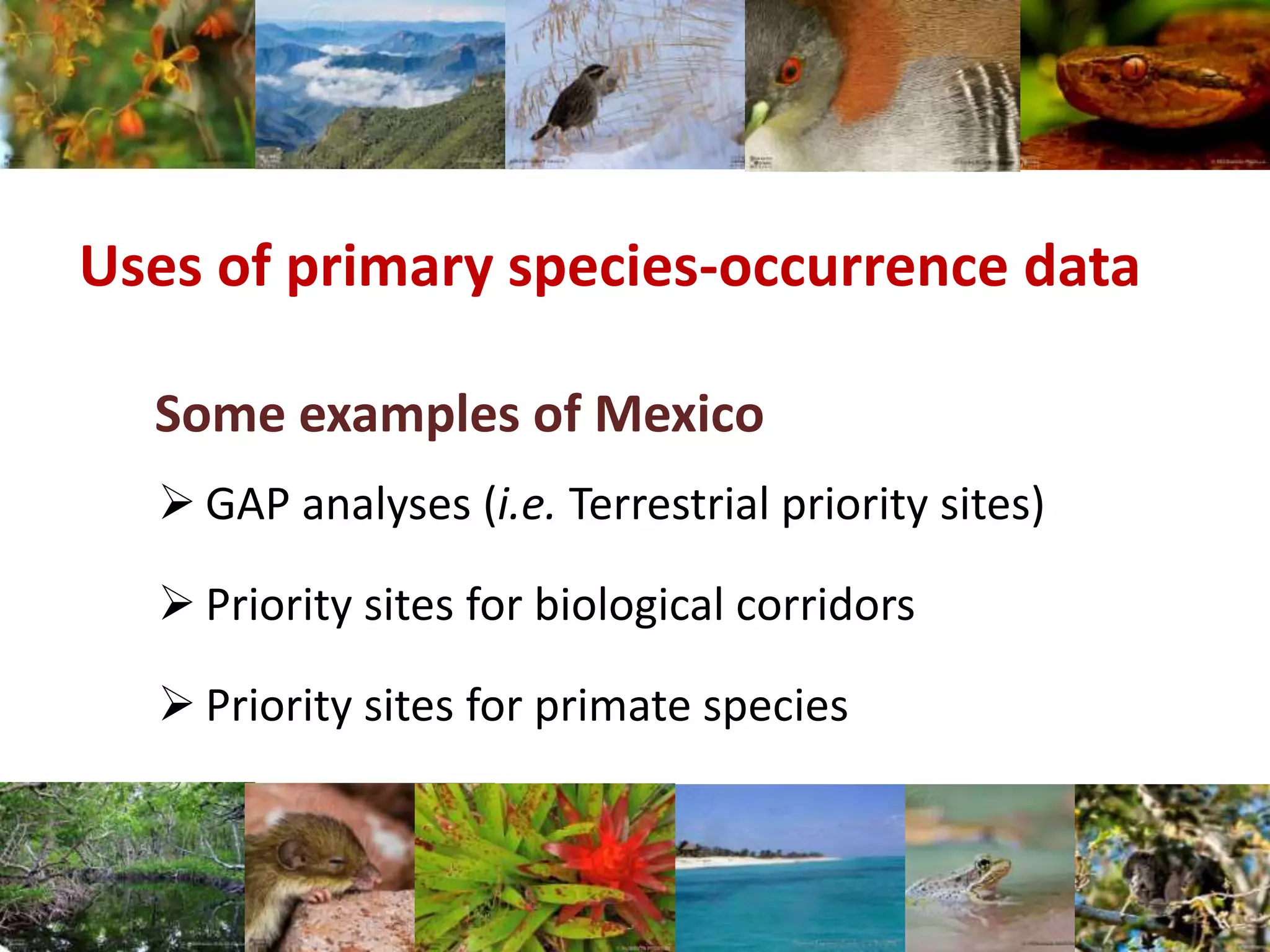 Uses of primary species-occurrence data
Some examples of Mexico
 GAP analyses (i.e. Terrestrial priority sites)
 Priority sites for biological corridors
 Priority sites for primate species
 