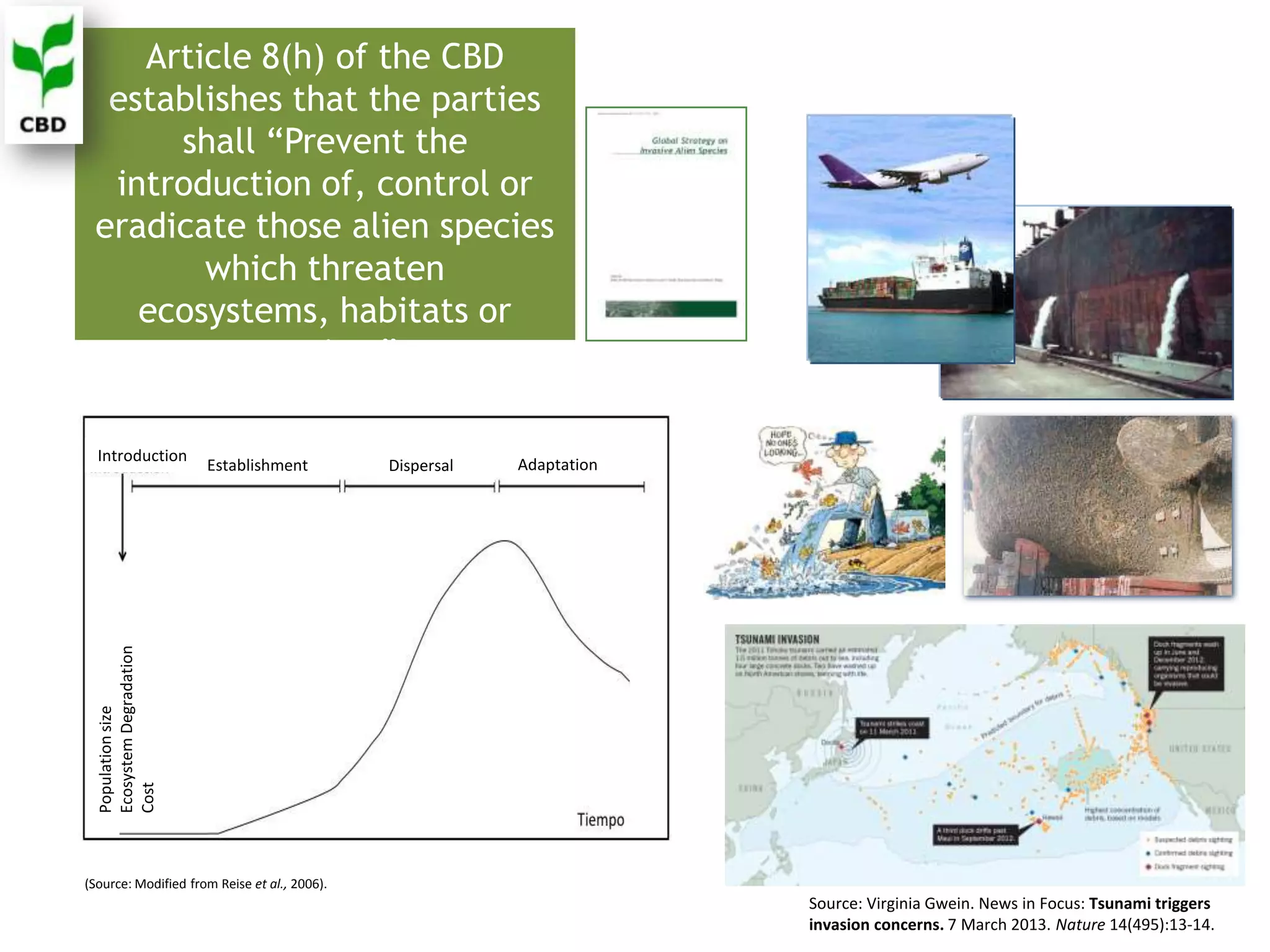 Article 8(h) of the CBD
establishes that the parties
shall “Prevent the
introduction of, control or
eradicate those alien species
which threaten
ecosystems, habitats or
species.”
Source: Virginia Gwein. News in Focus: Tsunami triggers
invasion concerns. 7 March 2013. Nature 14(495):13-14.
(Source: Modified from Reise et al., 2006).
Introduction
Establishment Dispersal Adaptation
Populationsize
EcosystemDegradation
Cost
 
