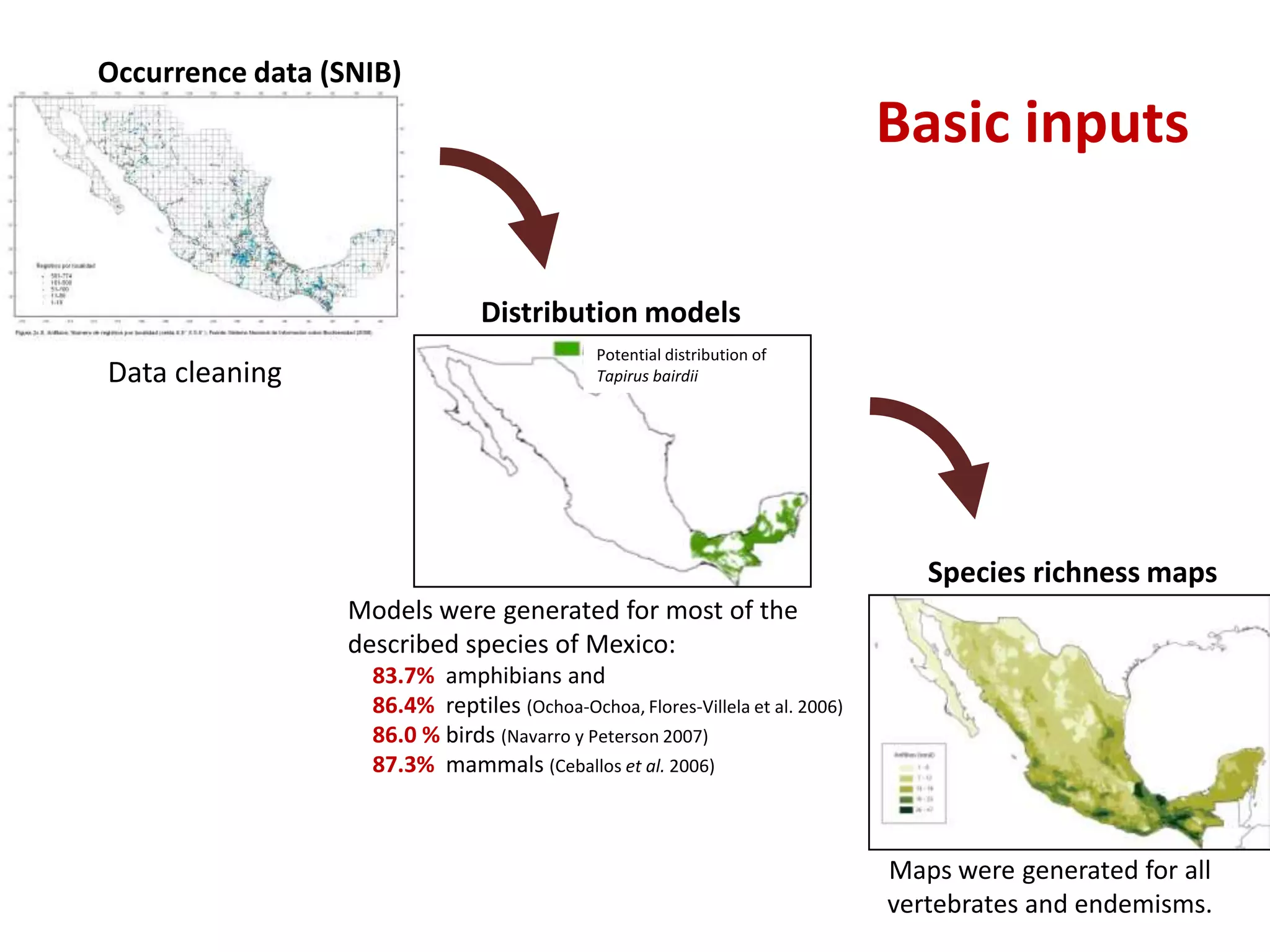 Basic inputs
Models were generated for most of the
described species of Mexico:
83.7% amphibians and
86.4% reptiles (Ochoa-Ochoa, Flores-Villela et al. 2006)
86.0 % birds (Navarro y Peterson 2007)
87.3% mammals (Ceballos et al. 2006)
Occurrence data (SNIB)
Distribution models
Species richness maps
Potential distribution of
Tapirus bairdii
Maps were generated for all
vertebrates and endemisms.
Data cleaning
 