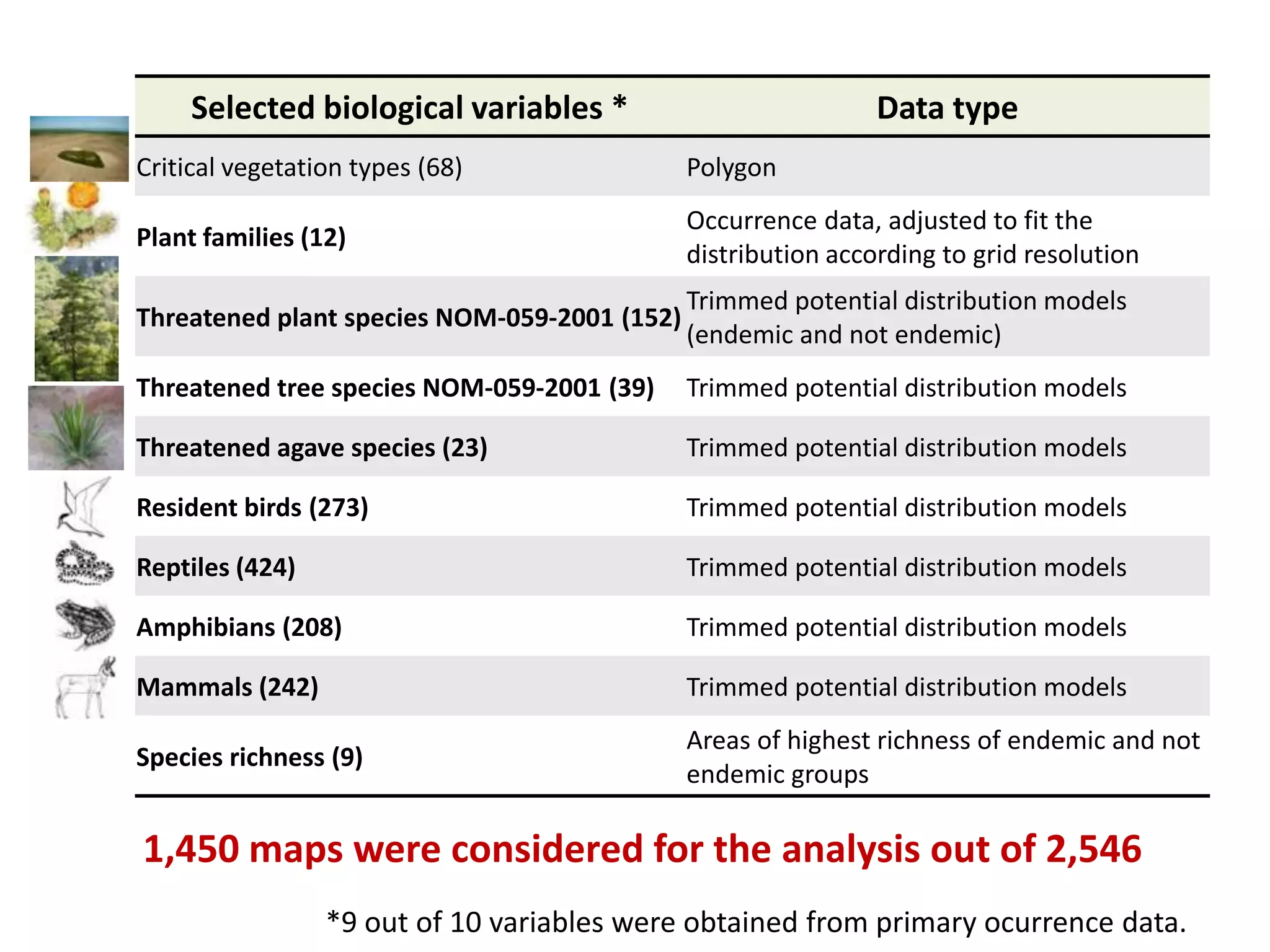 1,450 maps were considered for the analysis out of 2,546
Selected biological variables * Data type
Critical vegetation types (68) Polygon
Plant families (12)
Occurrence data, adjusted to fit the
distribution according to grid resolution
Threatened plant species NOM-059-2001 (152)
Trimmed potential distribution models
(endemic and not endemic)
Threatened tree species NOM-059-2001 (39) Trimmed potential distribution models
Threatened agave species (23) Trimmed potential distribution models
Resident birds (273) Trimmed potential distribution models
Reptiles (424) Trimmed potential distribution models
Amphibians (208) Trimmed potential distribution models
Mammals (242) Trimmed potential distribution models
Species richness (9)
Areas of highest richness of endemic and not
endemic groups
*9 out of 10 variables were obtained from primary ocurrence data.
 