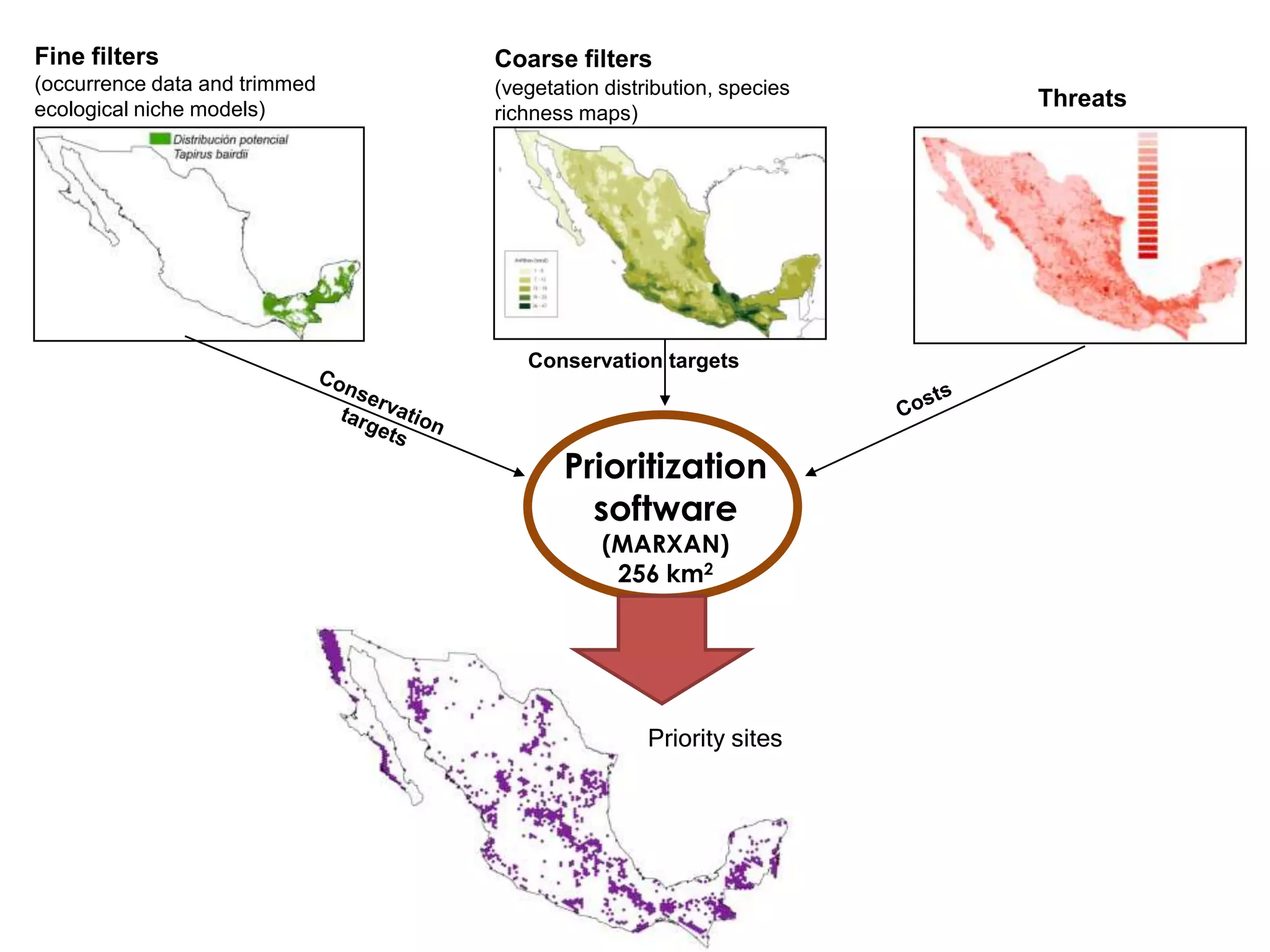 Fine filters
(occurrence data and trimmed
ecological niche models)
Coarse filters
(vegetation distribution, species
richness maps)
Conservation targets
Prioritization
software
(MARXAN)
256 km2
Threats
Priority sites
 