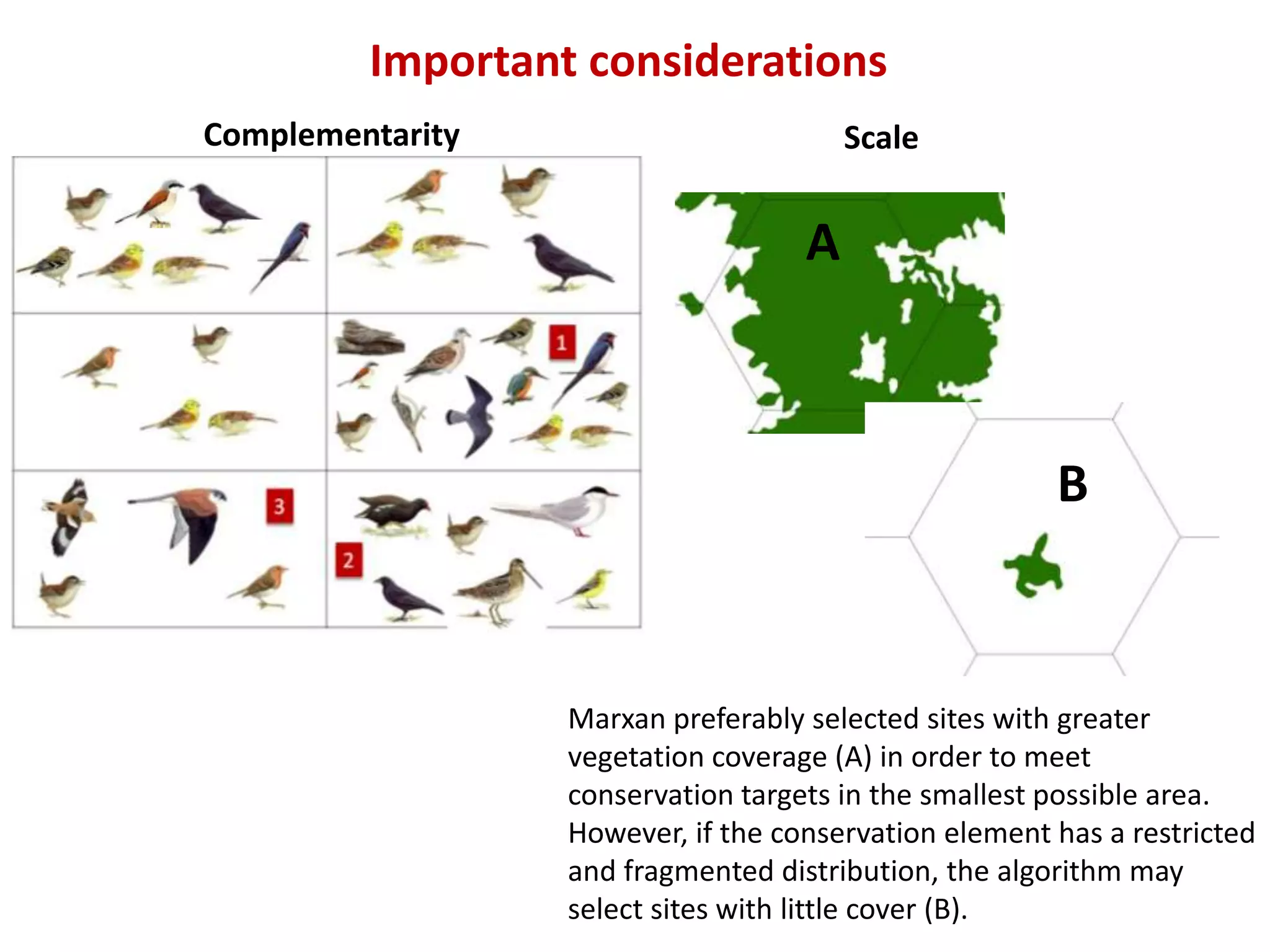 A
B
Important considerations
ScaleComplementarity
Marxan preferably selected sites with greater
vegetation coverage (A) in order to meet
conservation targets in the smallest possible area.
However, if the conservation element has a restricted
and fragmented distribution, the algorithm may
select sites with little cover (B).
 