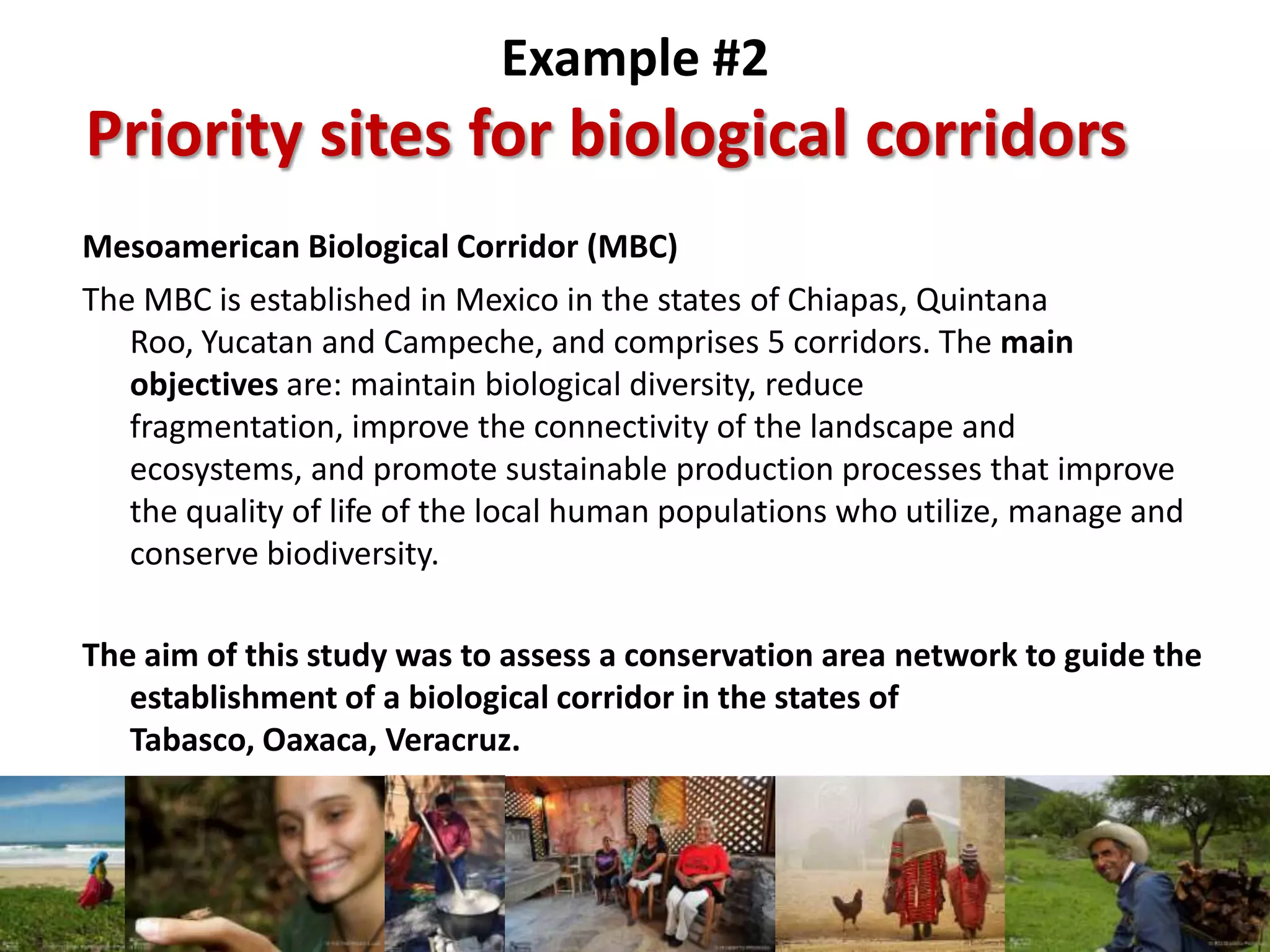 Mesoamerican Biological Corridor (MBC)
The MBC is established in Mexico in the states of Chiapas, Quintana
Roo, Yucatan and Campeche, and comprises 5 corridors. The main
objectives are: maintain biological diversity, reduce
fragmentation, improve the connectivity of the landscape and
ecosystems, and promote sustainable production processes that improve
the quality of life of the local human populations who utilize, manage and
conserve biodiversity.
The aim of this study was to assess a conservation area network to guide the
establishment of a biological corridor in the states of
Tabasco, Oaxaca, Veracruz.
Priority sites for biological corridors
Example #2
 