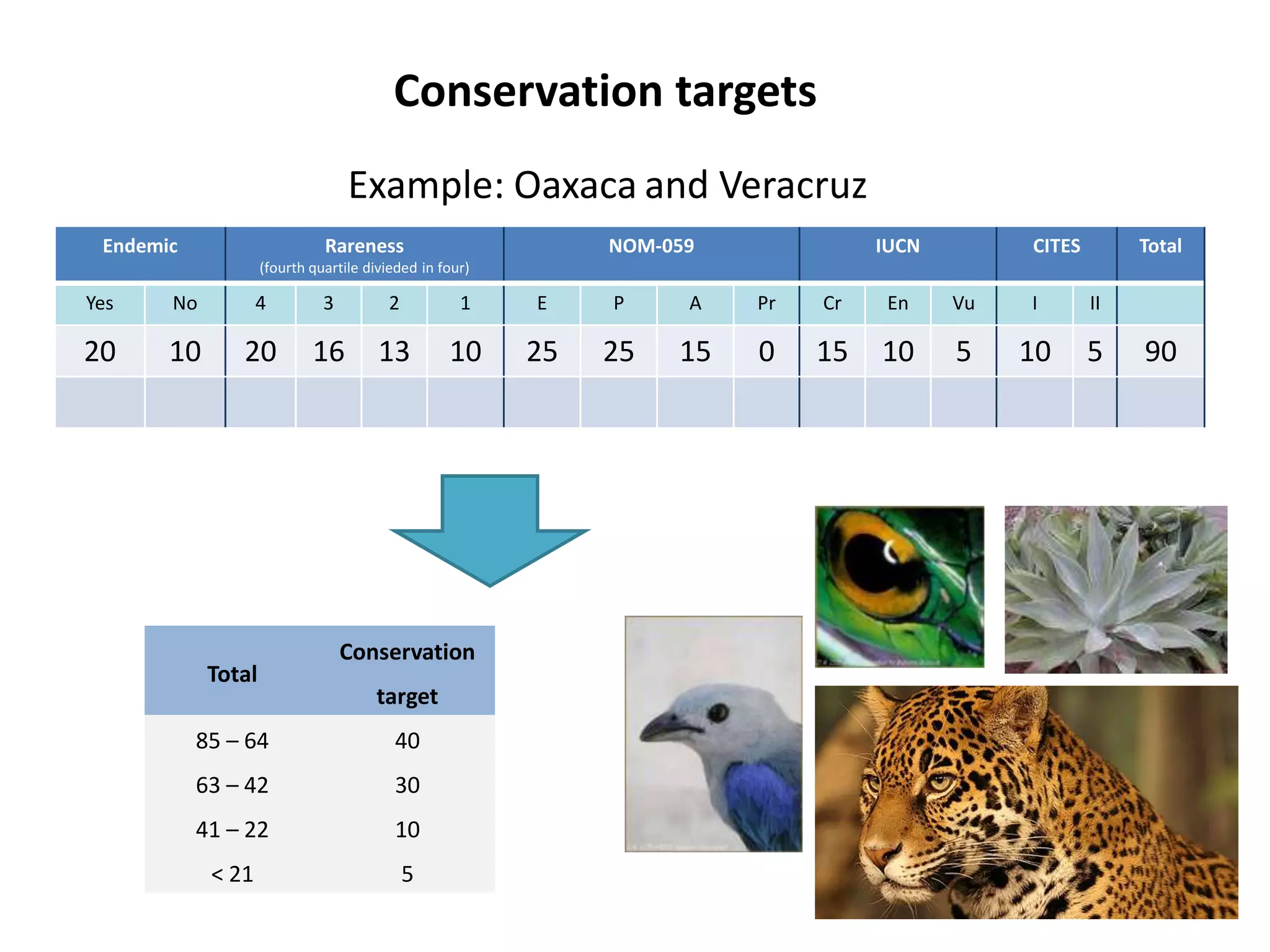 Endemic Rareness
(fourth quartile divieded in four)
NOM-059 IUCN CITES Total
Yes No 4 3 2 1 E P A Pr Cr En Vu I II
20 10 20 16 13 10 25 25 15 0 15 10 5 10 5 90
Example: Oaxaca and Veracruz
Conservation targets
Total
Conservation
target
85 – 64 40
63 – 42 30
41 – 22 10
< 21 5
 