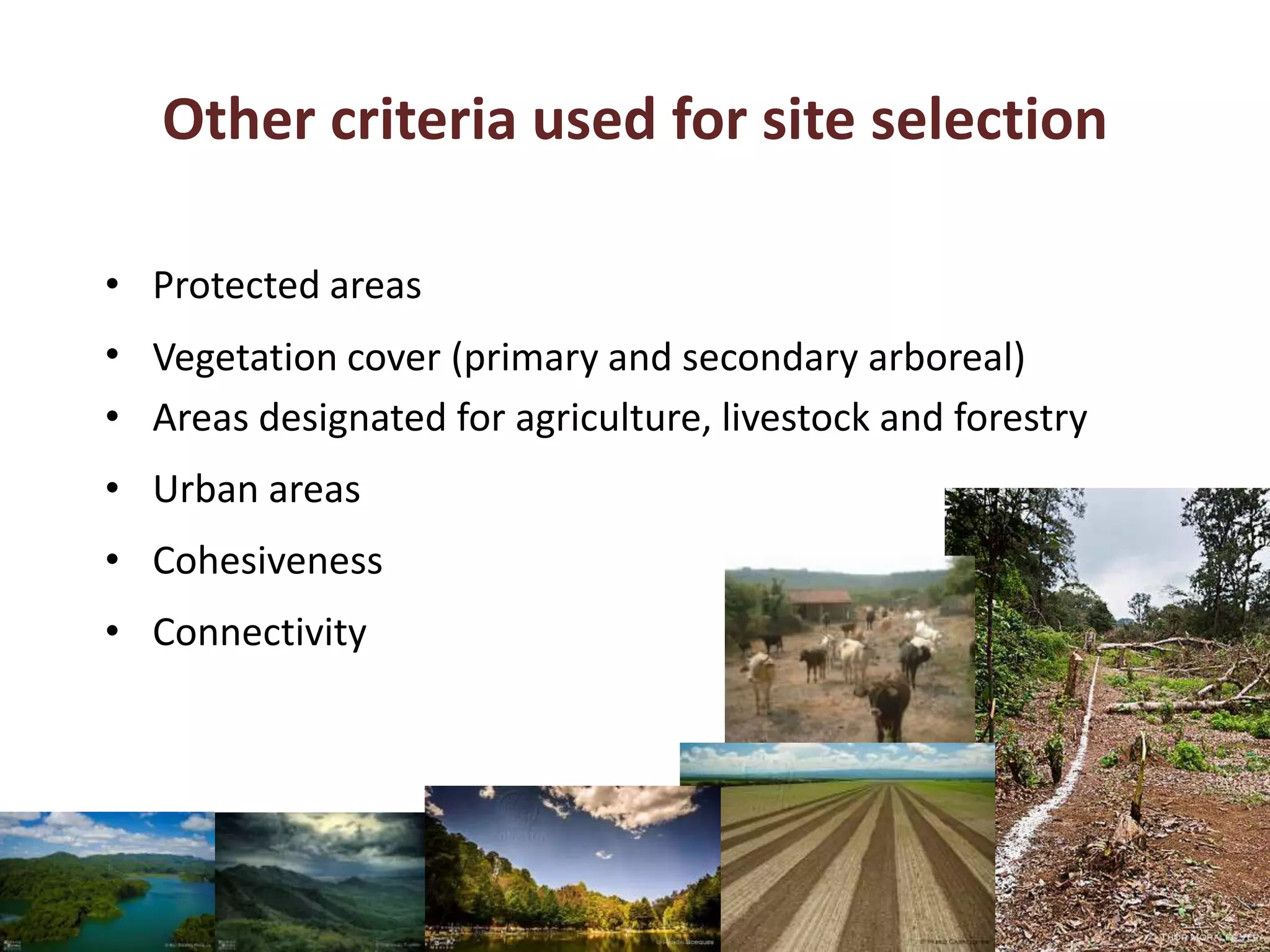 Other criteria used for site selection
• Protected areas
• Vegetation cover (primary and secondary arboreal)
• Areas designated for agriculture, livestock and forestry
• Urban areas
• Cohesiveness
• Connectivity
 