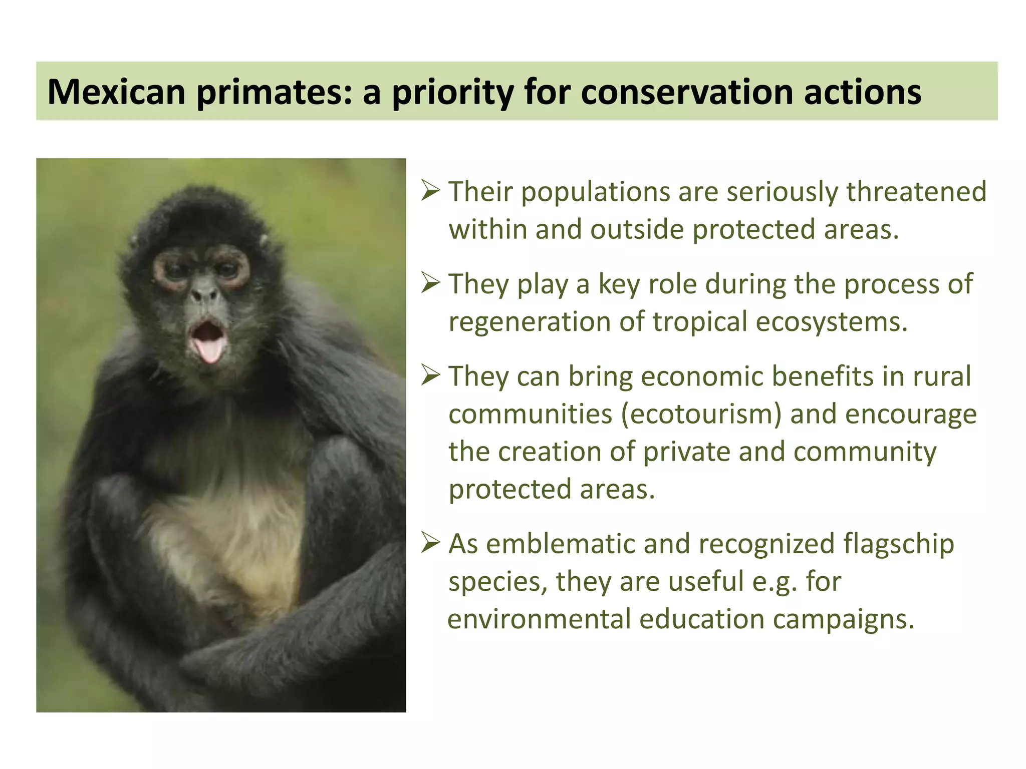  Their populations are seriously threatened
within and outside protected areas.
 They play a key role during the process of
regeneration of tropical ecosystems.
 They can bring economic benefits in rural
communities (ecotourism) and encourage
the creation of private and community
protected areas.
 As emblematic and recognized flagschip
species, they are useful e.g. for
environmental education campaigns.
Mexican primates: a priority for conservation actions
 
