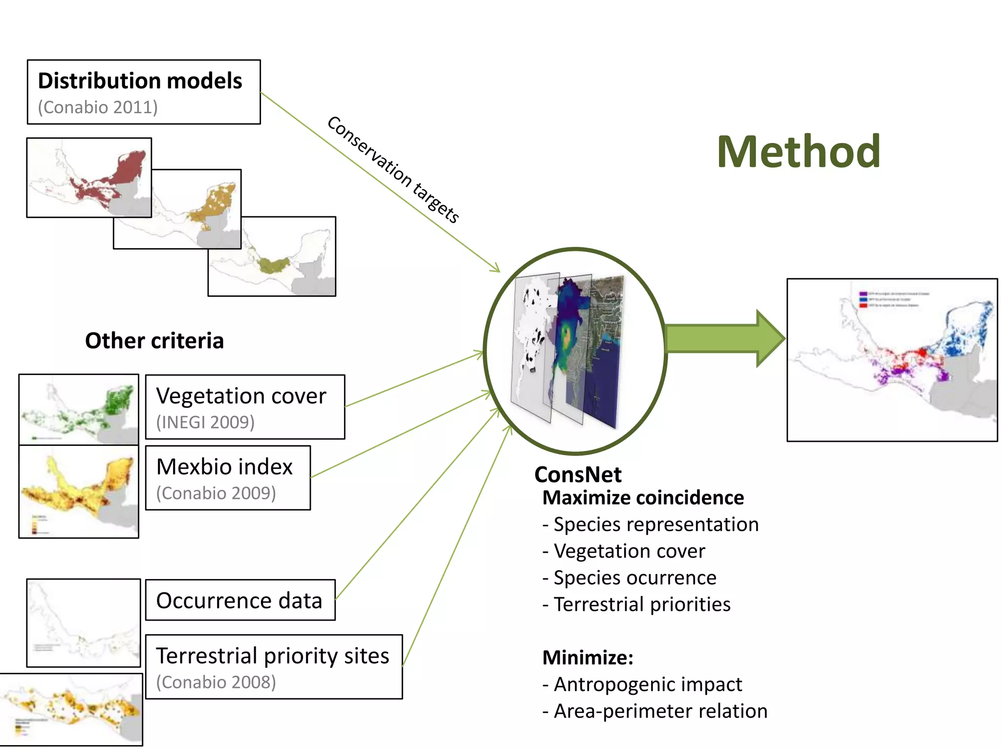 Method
Distribution models
(Conabio 2011)
ConsNet
Vegetation cover
(INEGI 2009)
Mexbio index
(Conabio 2009)
Terrestrial priority sites
(Conabio 2008)
Occurrence data
Other criteria
Maximize coincidence
- Species representation
- Vegetation cover
- Species ocurrence
- Terrestrial priorities
Minimize:
- Antropogenic impact
- Area-perimeter relation
 