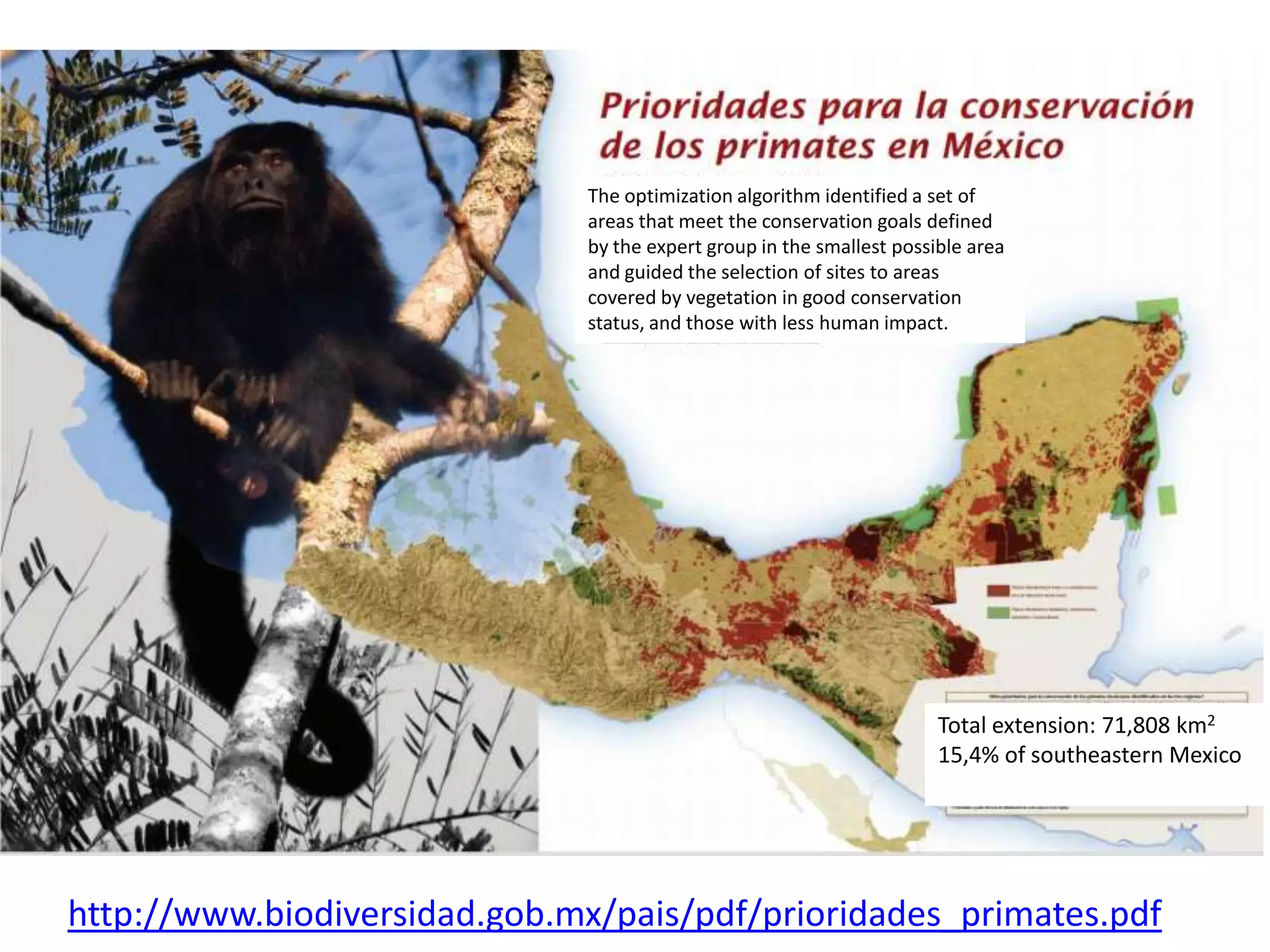 http://www.biodiversidad.gob.mx/pais/pdf/prioridades_primates.pdf
Total extension: 71,808 km2
15,4% of southeastern Mexico
The optimization algorithm identified a set of
areas that meet the conservation goals defined
by the expert group in the smallest possible area
and guided the selection of sites to areas
covered by vegetation in good conservation
status, and those with less human impact.
 
