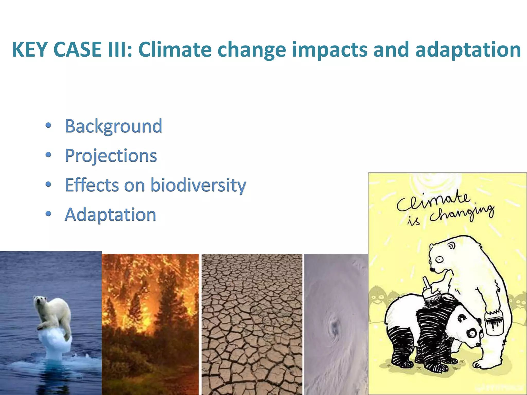 KEY CASE III: Climate change impacts and adaptation
 