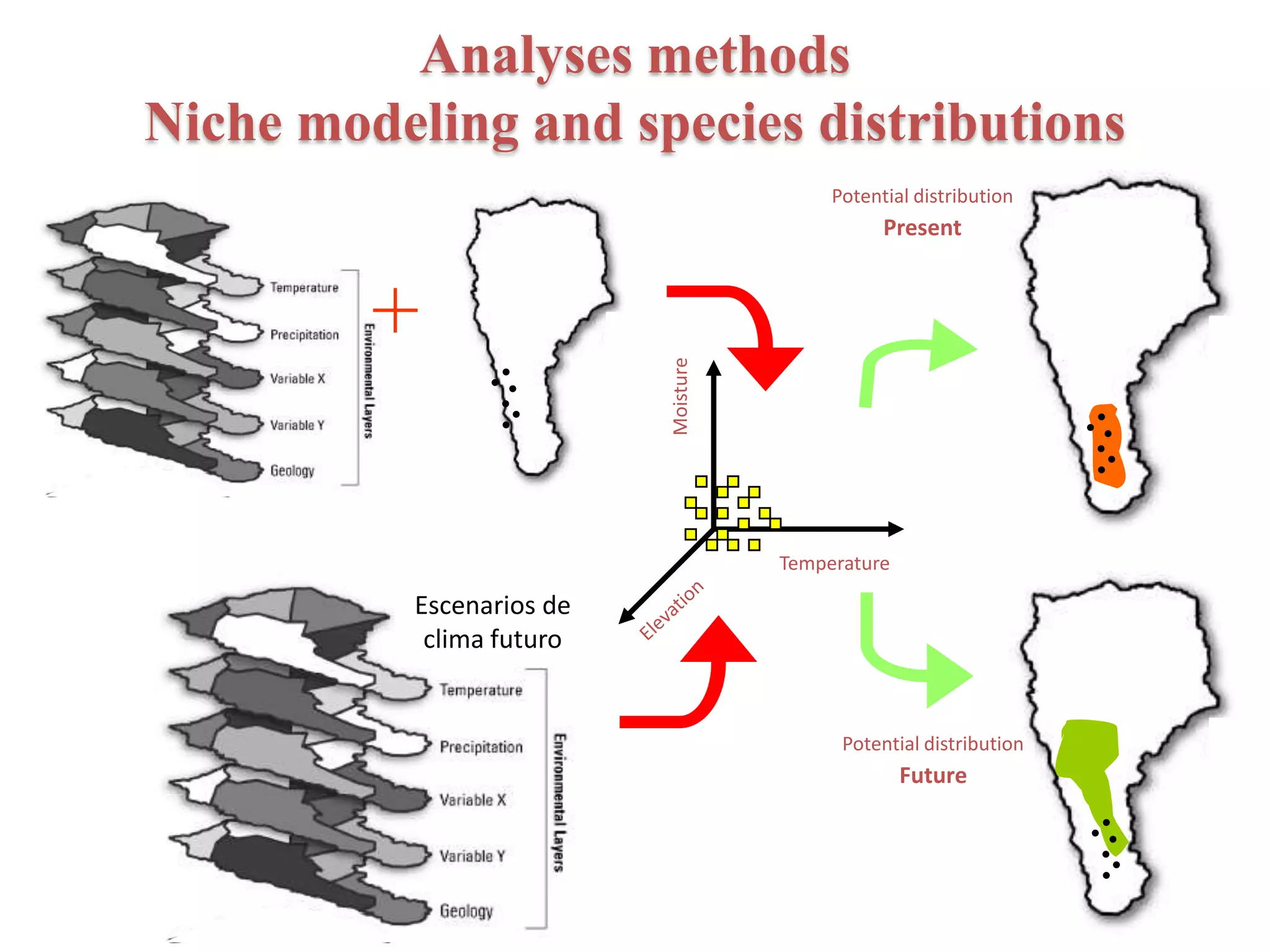 Presente
+
......
Escenarios de
clima futuro
Potential distribution
Future
......
......
Potential distribution
Present
Temperature
Moisture
Analyses methods
Niche modeling and species distributions
 