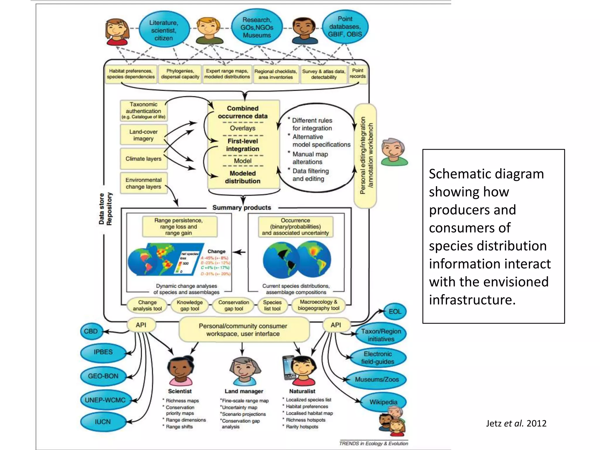 Schematic diagram
showing how
producers and
consumers of
species distribution
information interact
with the envisioned
infrastructure.
Jetz et al. 2012
 