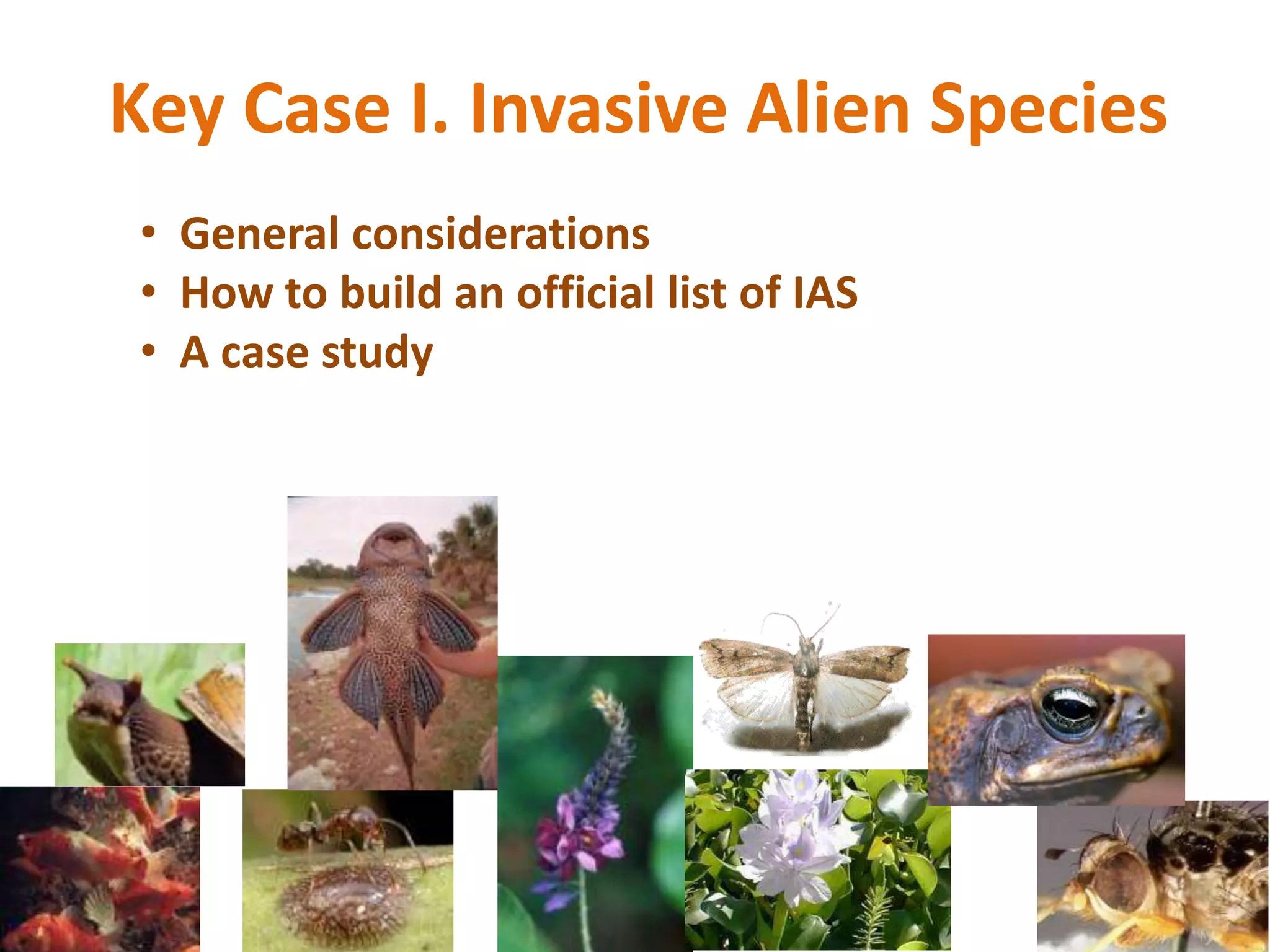 Key Case I. Invasive Alien Species
• General considerations
• How to build an official list of IAS
• A case study
 
