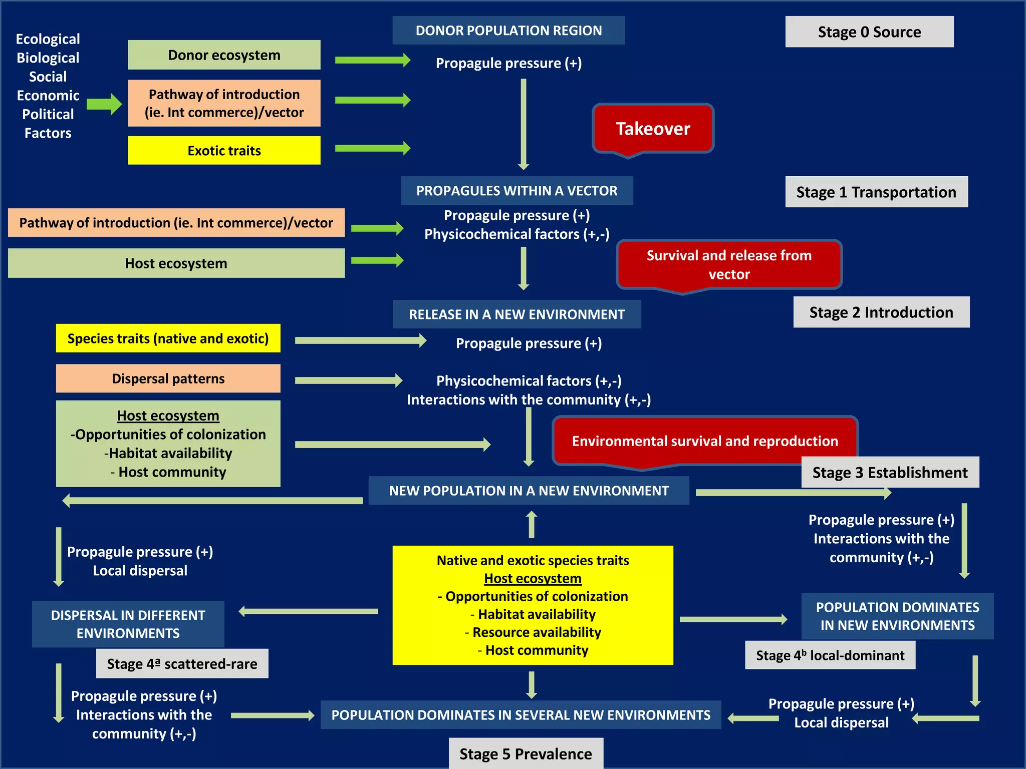 Ecological
Biological
Social
Economic
Political
Factors
Donor ecosystem
Pathway of introduction
(ie. Int commerce)/vector
Exotic traits
Host ecosystem
Host ecosystem
-Opportunities of colonization
-Habitat availability
- Host community
Pathway of introduction (ie. Int commerce)/vector
Dispersal patterns
Species traits (native and exotic)
Native and exotic species traits
Host ecosystem
- Opportunities of colonization
- Habitat availability
- Resource availability
- Host community
DONOR POPULATION REGION
PROPAGULES WITHIN A VECTOR
RELEASE IN A NEW ENVIRONMENT
NEW POPULATION IN A NEW ENVIRONMENT
POPULATION DOMINATES IN SEVERAL NEW ENVIRONMENTS
DISPERSAL IN DIFFERENT
ENVIRONMENTS
POPULATION DOMINATES
IN NEW ENVIRONMENTS
Stage 0 Source
Stage 1 Transportation
Stage 2 Introduction
Stage 4ª scattered-rare
Stage 4b local-dominant
Stage 5 Prevalence
Propagule pressure (+)
Propagule pressure (+)
Physicochemical factors (+,-)
Propagule pressure (+)
Physicochemical factors (+,-)
Interactions with the community (+,-)
Propagule pressure (+)
Interactions with the
community (+,-)
Propagule pressure (+)
Local dispersal
Propagule pressure (+)
Interactions with the
community (+,-)
Propagule pressure (+)
Local dispersal
Takeover
Survival and release from
vector
Environmental survival and reproduction
Stage 3 Establishment
 