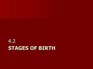 STAGES OF BIRTH
4.2
 