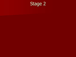 Stage 2
 