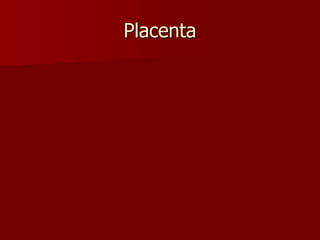 Placenta
 