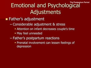 Emotional and Psychological
Adjustments
 Father’s adjustment
– Considerable adjustment & stress
 Attention on infant decreases couple’s time
 May feel unneeded
– Father’s postpartum reactions
 Prenatal involvement can lessen feelings of
depression
The Postpartum Period
 