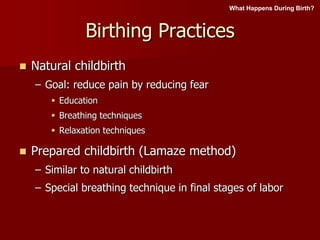 Birthing Practices
 Natural childbirth
– Goal: reduce pain by reducing fear
 Education
 Breathing techniques
 Relaxation techniques
 Prepared childbirth (Lamaze method)
– Similar to natural childbirth
– Special breathing technique in final stages of labor
What Happens During Birth?
 