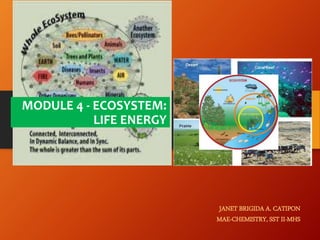 MODULE 4 - ECOSYSTEM:
LIFE ENERGY
JANET BRIGIDA A. CATIPON
MAE-CHEMISTRY, SST II-MHS
 