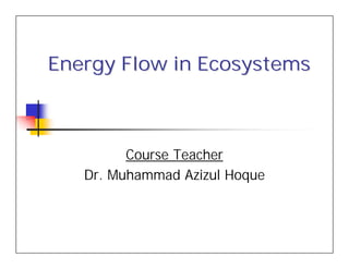 Energy Flow in EcosystemsEnergy Flow in Ecosystems
Course Teacher
Dr. Muhammad Azizul Hoque
 