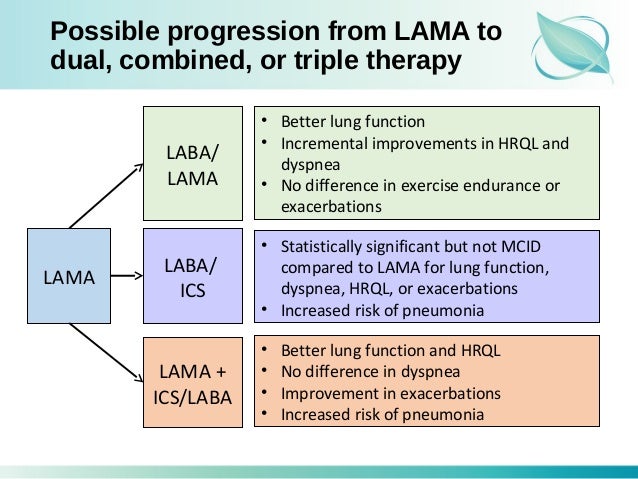 Module 4 lama lab_as