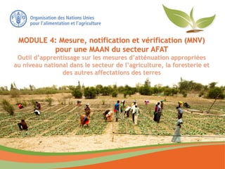 MODULE 4: Mesure, notification et vérification (MNV)
pour une MAAN du secteur AFAT
Outil d’apprentissage sur les mesures d’atténuation appropriées
au niveau national dans le secteur de l’agriculture, la foresterie et
des autres affectations des terres
 