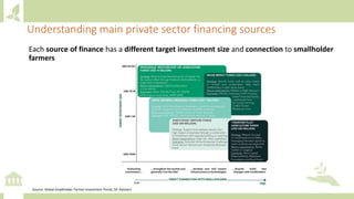 Source: Global Smallholder Farmer Investment Portal, ISF Advisors
Each source of finance has a different target investment size and connection to smallholder
farmers
Understanding main private sector financing sources
 